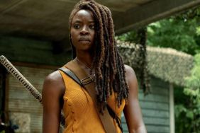 Michonne Costume