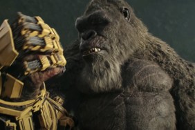 Godzilla x Kong: The New Empire sequel