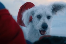 superman james gunn krypto ozu