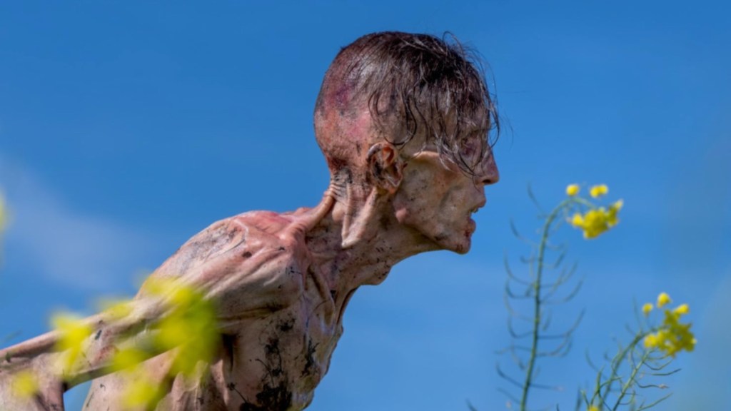 Alpha & All Types of Zombies in 28 Years Later