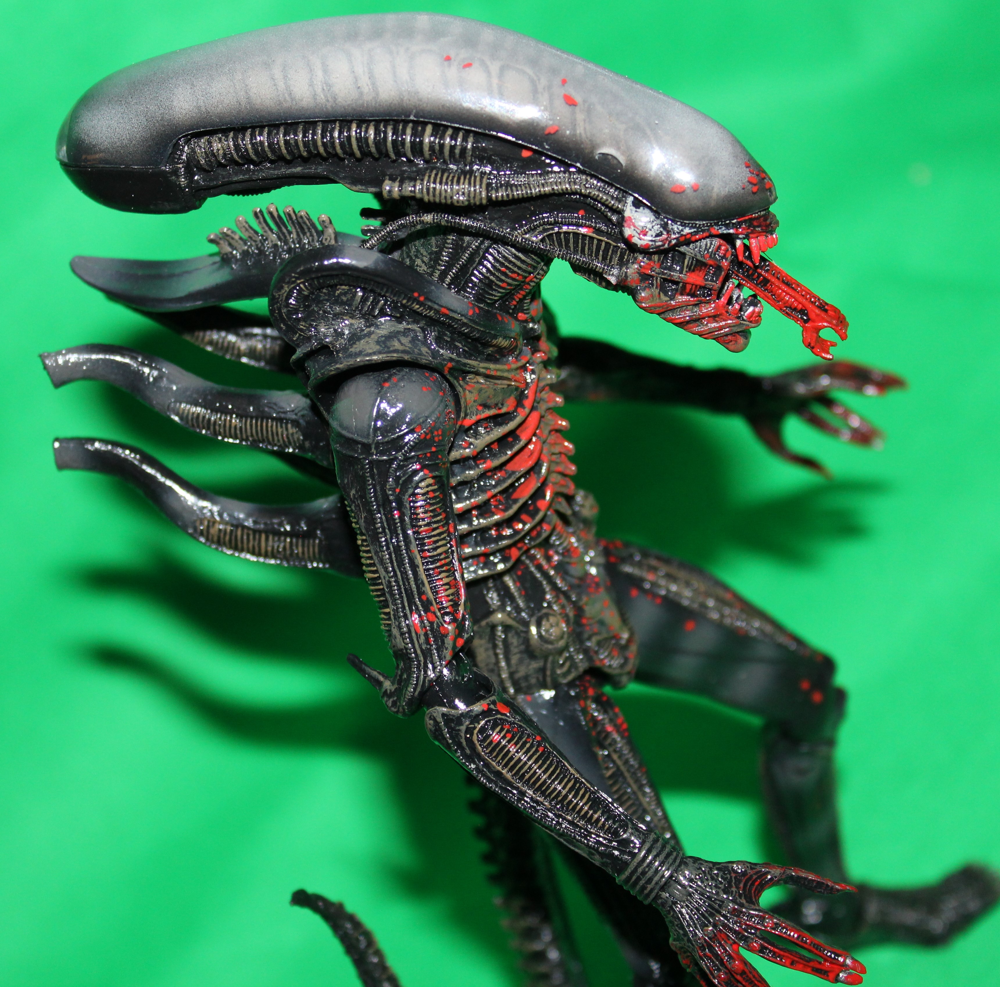 Hungry hungry xenomorph