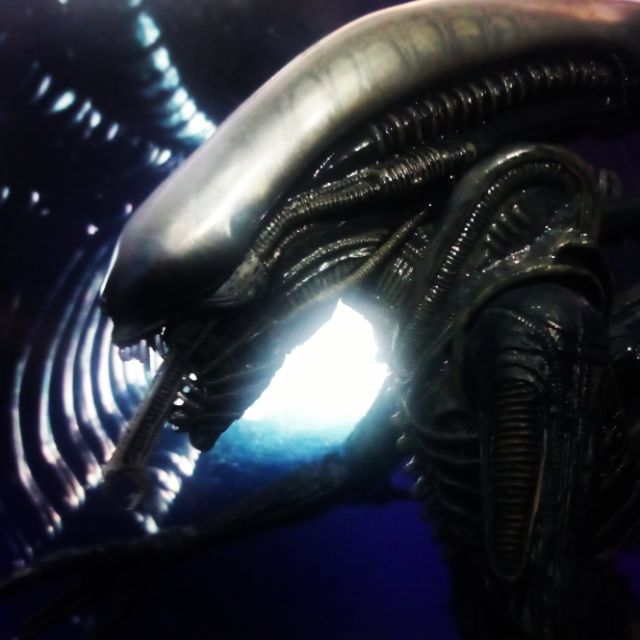 Alien, art shot