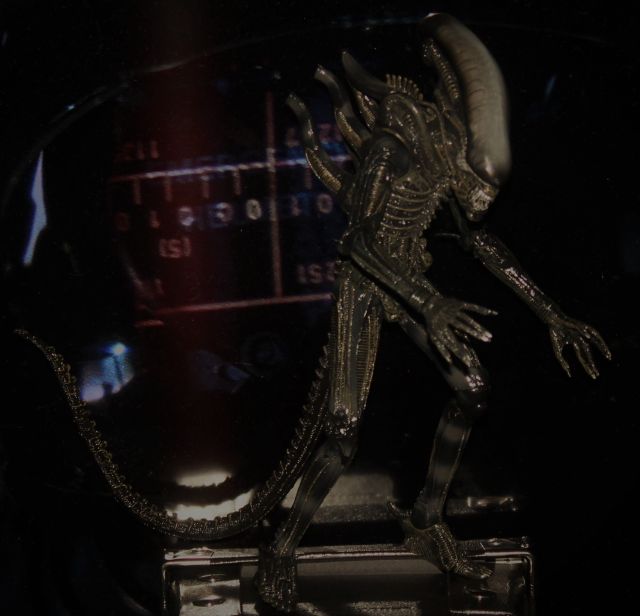 Xenomorph 