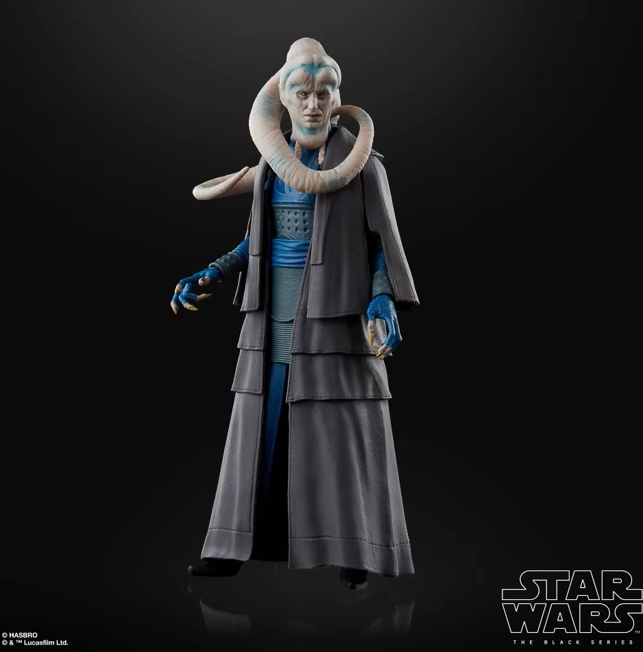 Bib Fortuna