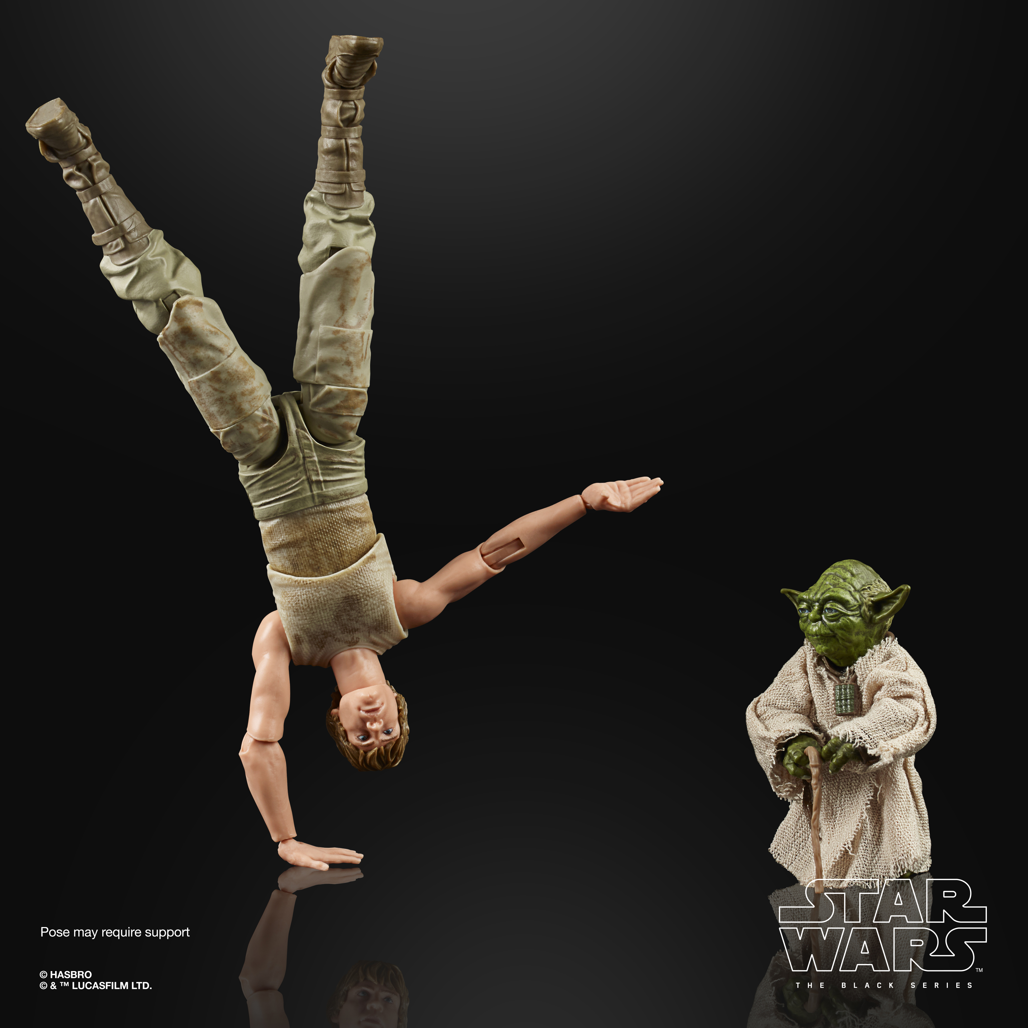 Dagobah Luke and Yoda