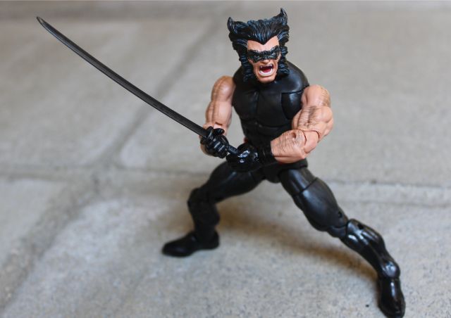 Wolverine