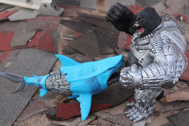 Shark vs. Gorilla