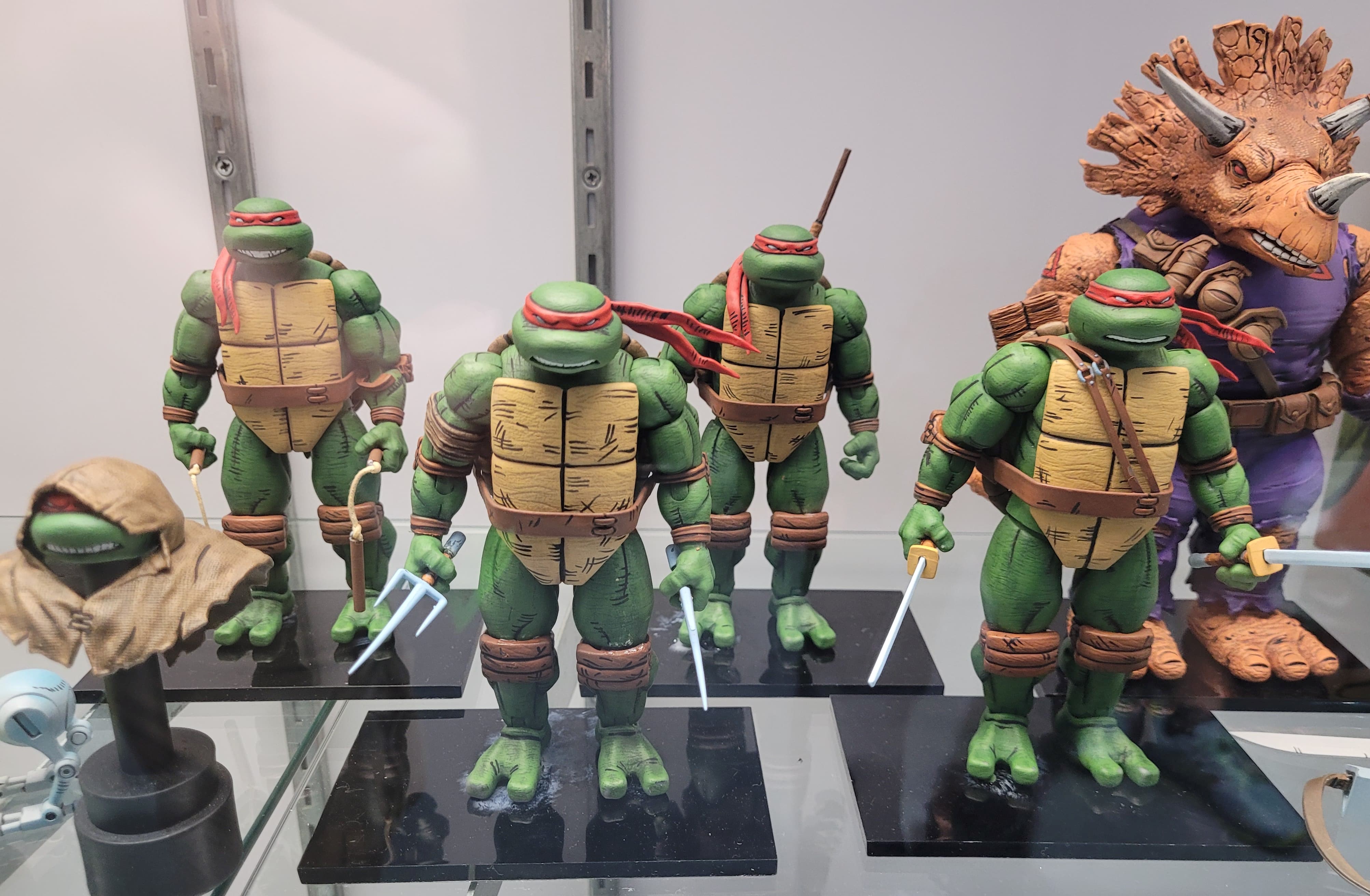 New Mirage Turtles