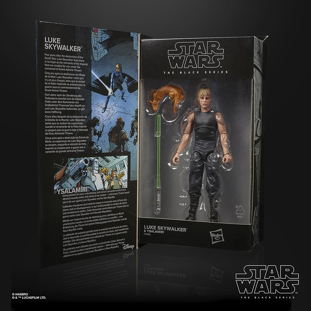 Luke Skywalker Heir to the Empire box